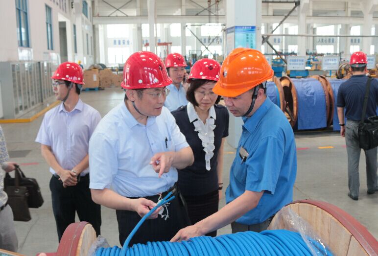 2016年7月22日，瀘州市委常委、副市長王建翔一行來上上電纜參觀考察