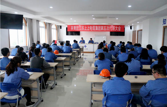 2016年4月20日，共青團(tuán)江蘇上上電纜集團(tuán)第五次代表大會(huì)召開