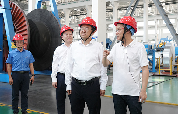 17565247871593262X5w.jpg 1.jpg